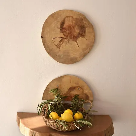 Olympa * 플라카 리토코로우