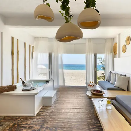 Olympa 플라카 리토코로우