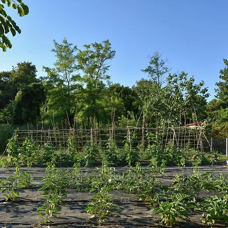 Olympa 호텔 플라카 리토코로우