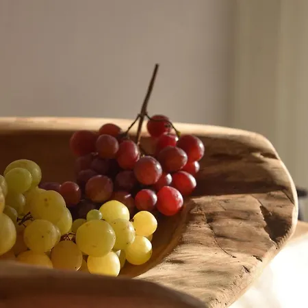 Hotel Olympa Plaka Litochorou