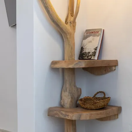 Hotell Olympa Plaka Litochorou