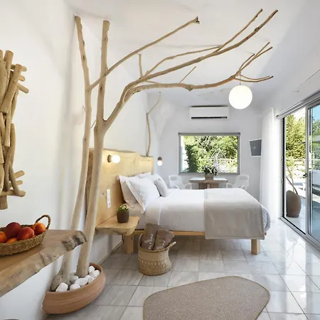 Olympa * 플라카 리토코로우